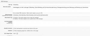 SEO Settings